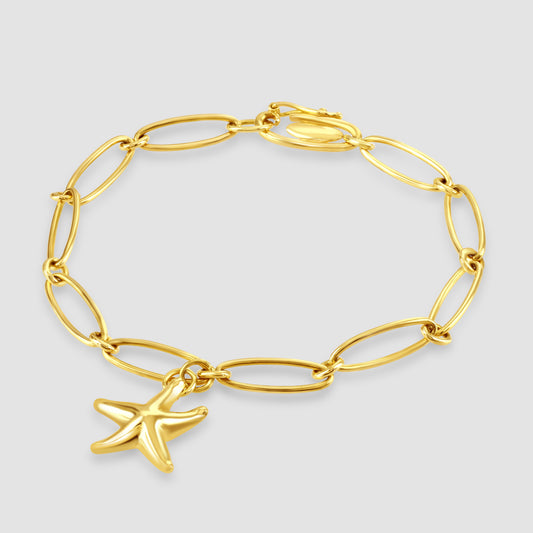 Tiffany & Co Elsa Peretti star fish charm bracelet 